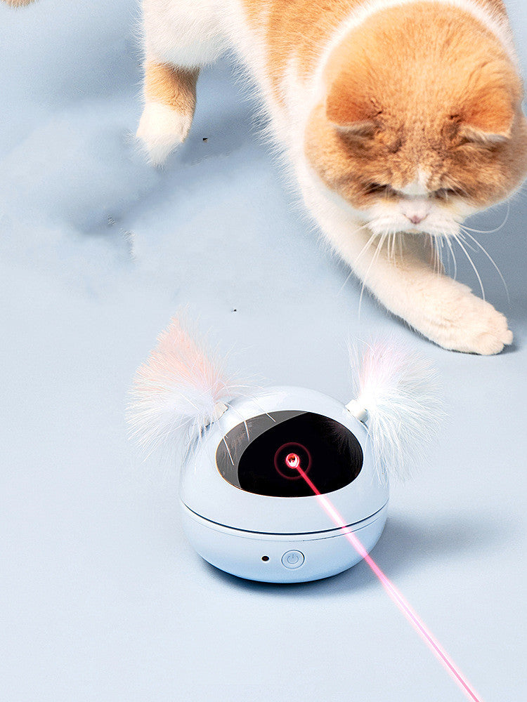 ElectroPurr: Automated Electric Cat Fun