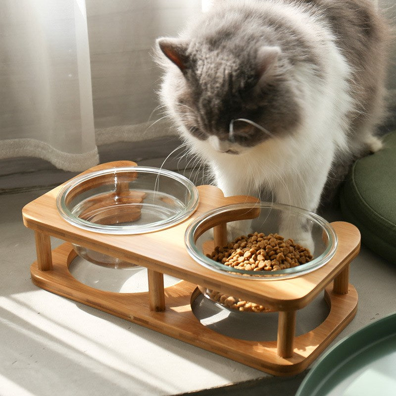 SustainaGlass Eco-Friendly Cat Food Bowl