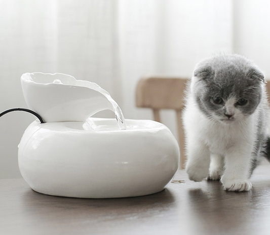 Purrfect Porcelain Cat Water Fountain