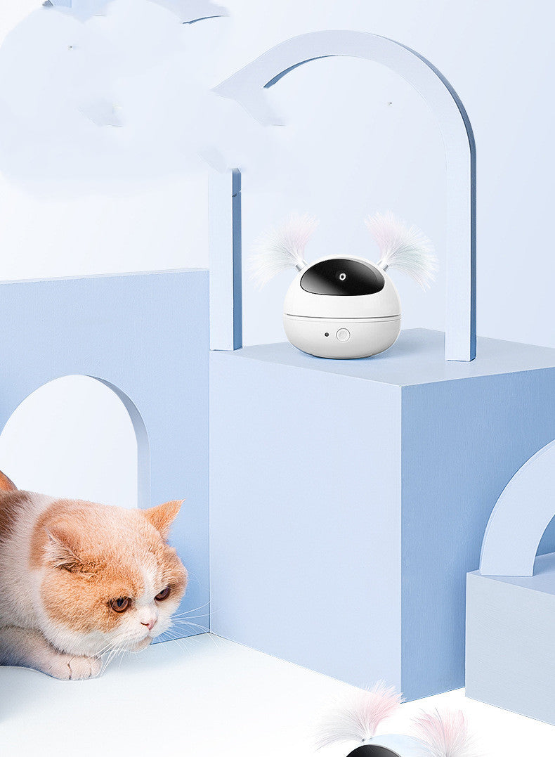 ElectroPurr: Automated Electric Cat Fun