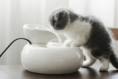 Purrfect Porcelain Cat Water Fountain