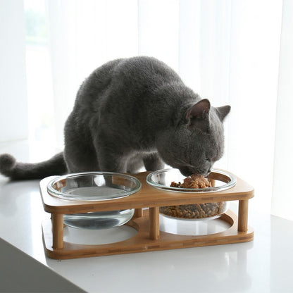 SustainaGlass Eco-Friendly Cat Food Bowl